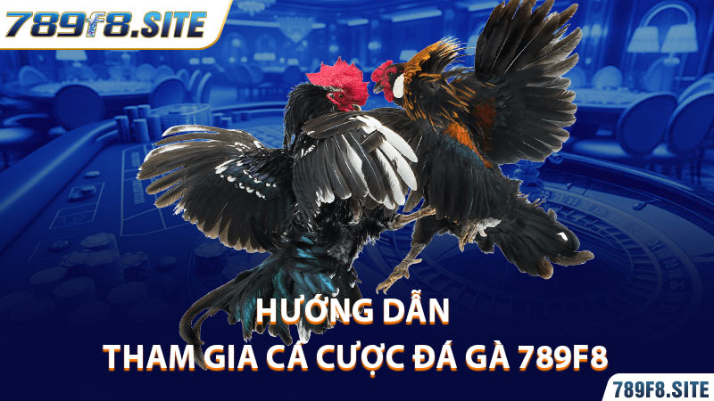 Hướng dẫn tham gia cá cược đá gà 789F8