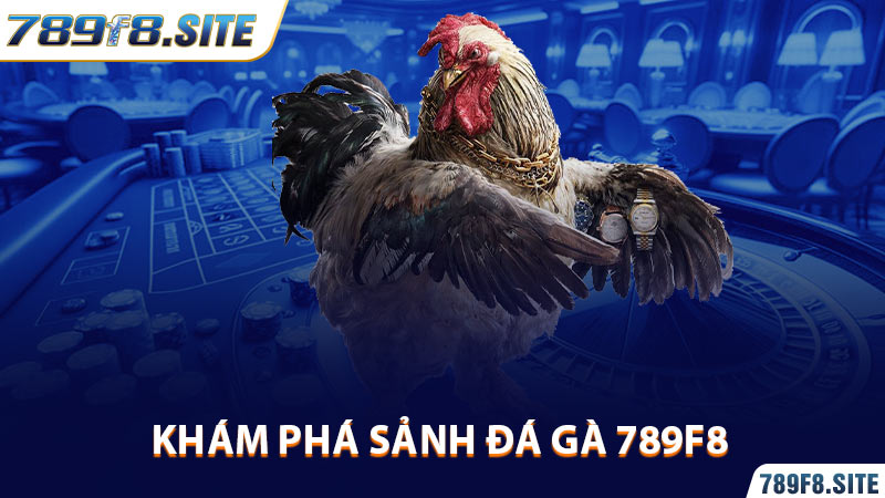 Khám phá sảnh đá gà 789F8