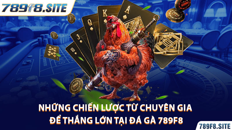 Những chiến lược từ chuyên gia để thắng lớn tại đá gà 789F8